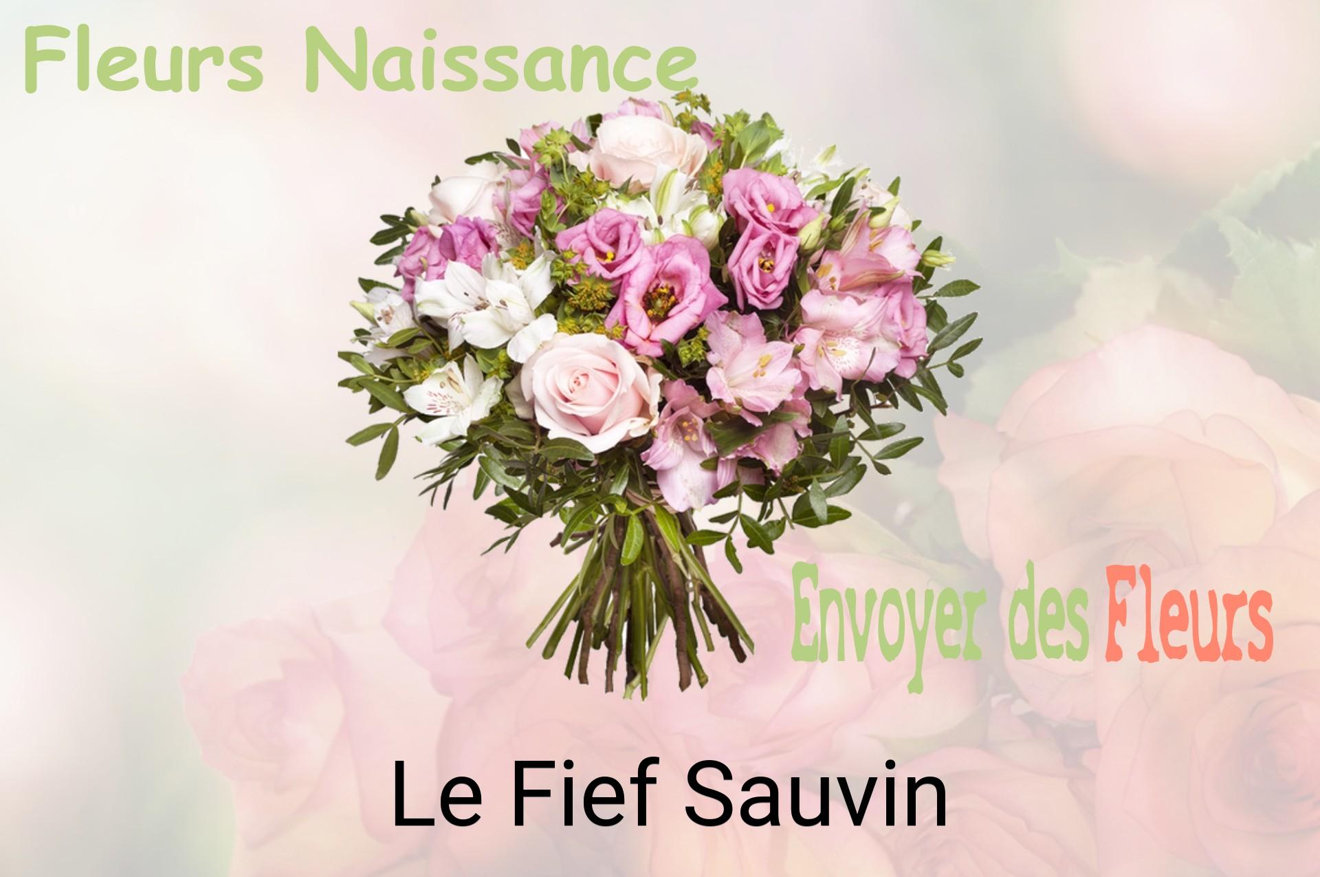Bouquet de fleurs de naissance livré à Le Fief-Sauvin